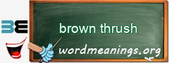 WordMeaning blackboard for brown thrush